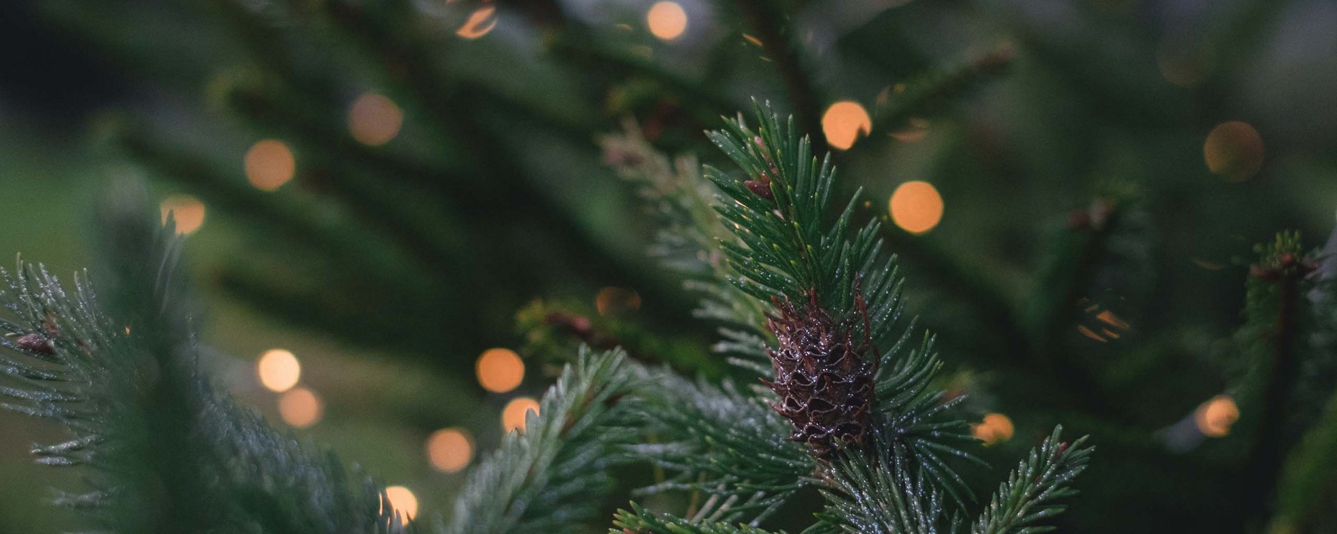 Entspannung vor der Weihnachtszeit