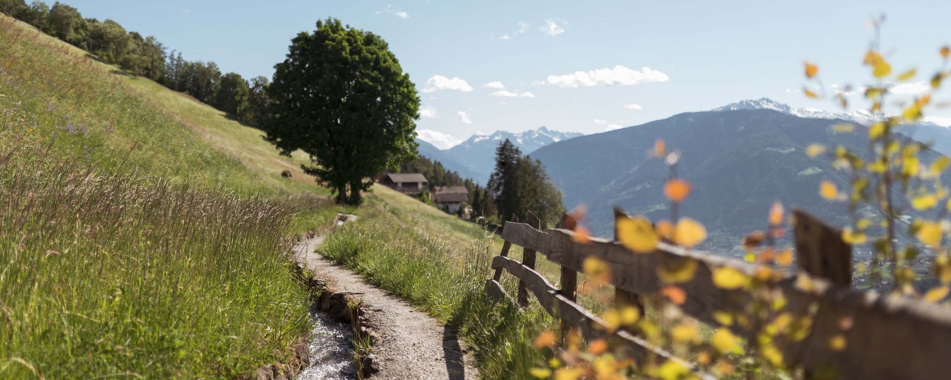 Scena in autunno