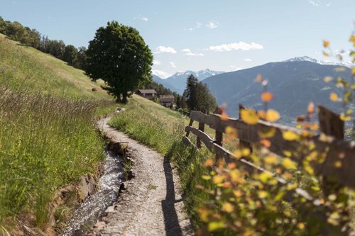 Neues aus Schenna Neues aus Schenna